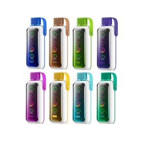 VOZOL Star 20000 Dual Power Wiederaufladbare Vape (1 Vape)